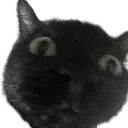 moonhuh