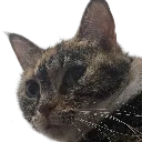 sandyufr sandyufr