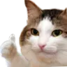 ThumbsUp