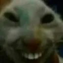 xdd