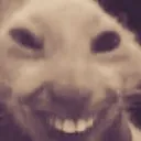 cute_xdd