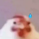 chik