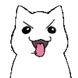 cat_freaky