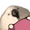 eggsleep