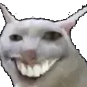 cat_hehehe
