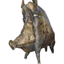 boar