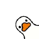 spinducky spinducky