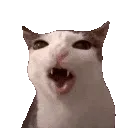 Cronch
