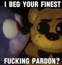 ibegyourfinestfuckingpardon