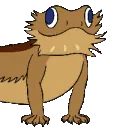 NodBeardie