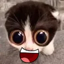 whatthehappy