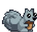 Squirrel_Idle