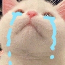 tmr_wiiiiwiiiiwiii Discord Emoji | TMR Esports