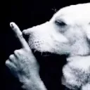 shhh