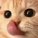 slurp slurp