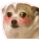 :errorissohot:
