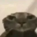 c_CQT
