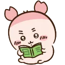 C_furubook