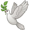 90559tgdove