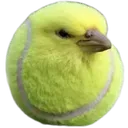 ballbird