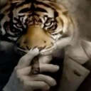 RT_Tigre Discord emoji