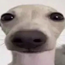 RT_Otia Discord emoji