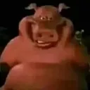pig