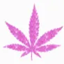weed_leaf_pink