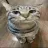lilcat lilcat