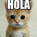 uh_hola