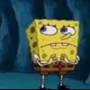 spongeconcern spongeconcern