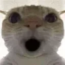 :BellsShocked: