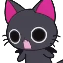shocknyan