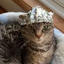 tinfoilcat