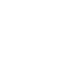 iconAuthManagerWhite