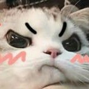 :0catpout: