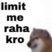 limit_me