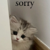 sorry