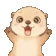 7_