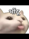 0b8a773a1e1fed86714e8fc75b438370 Discord Emoji - Arvelynx ™ | Social SFW
