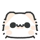 1932myaowlcatshocked