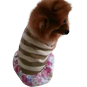 uwualoy