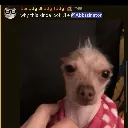 abbsabbs
