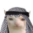 HalalCat