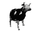 Dancing_cow_animated animated GIF emoji - 𝑰𝑩𝑹𝑨 𝑪𝑹𝑨𝑭𝑻.𝑺2
