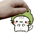 petfroggykitty animated Discord emote - Just Cum