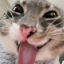 emoji_79