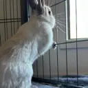 prison