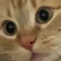 s1