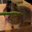 greenbean